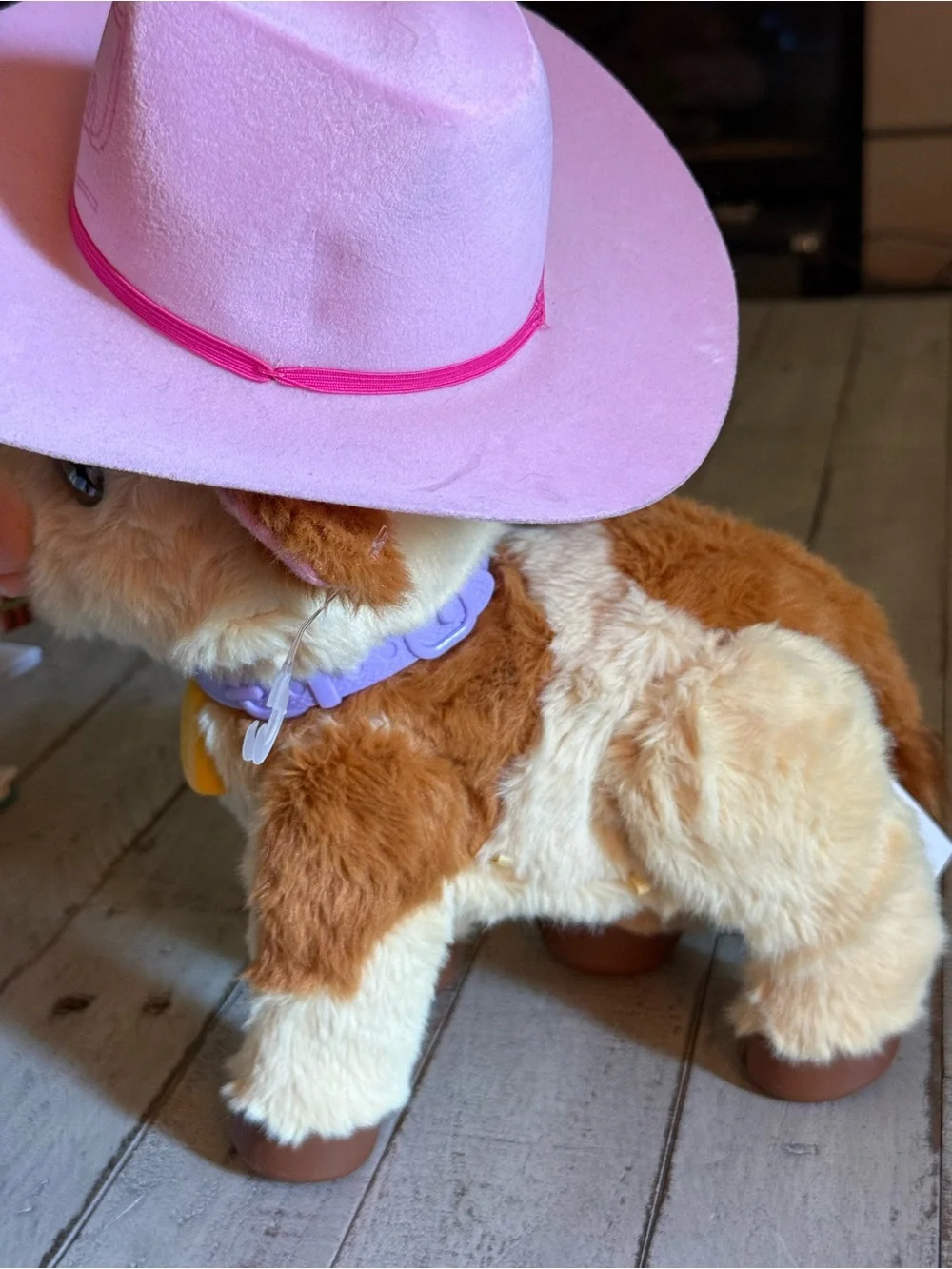 Fur real highlands cow. Pink Cowboy Hat. Walks, sighs & wants milk.
